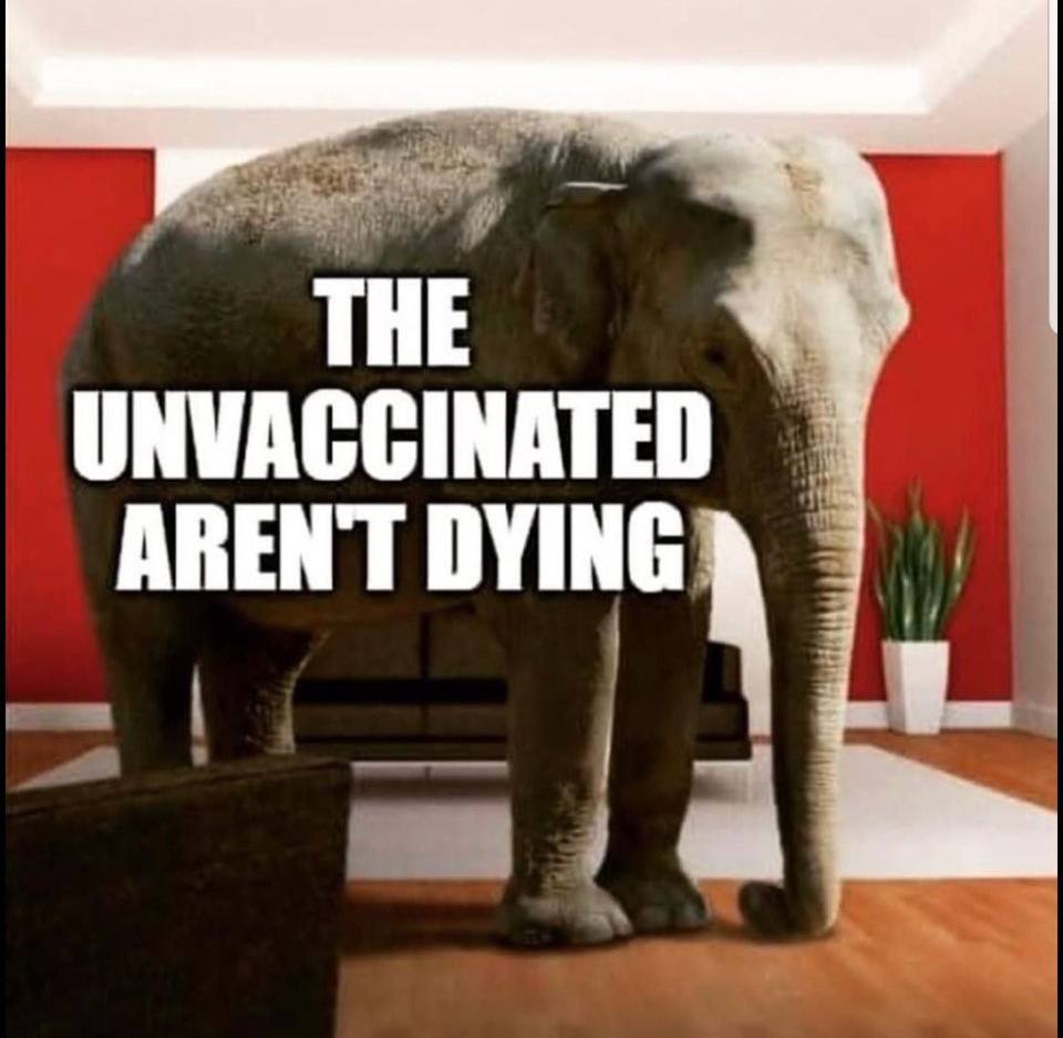 THE UNVACCINATED AREN'T DYING