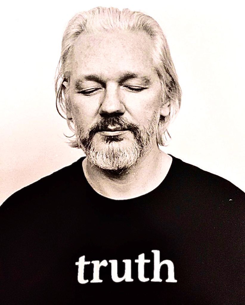TRUTH - Julian Assange